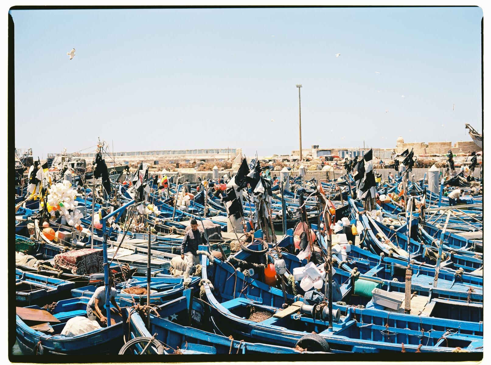Remparts portugais d'Essaouira